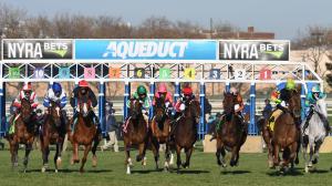 ABR Sunday Selections: Full-Card Picks for Nov. 9 at Aqueduct